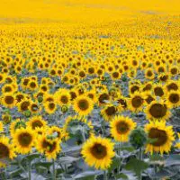Living Abundantly – Trinity Center for Spiritual Living