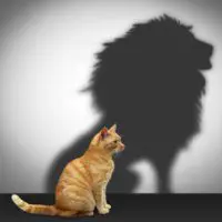 The Veil of Fear – Trinity Center for Spiritual Living