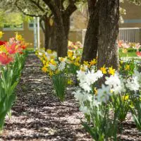 Revitalizing the Soul – Trinity Center for Spiritual Living
