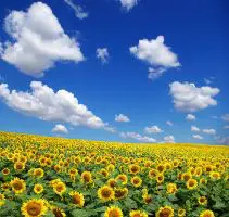 Increased Abundance & Wealth Program – Trinity Center for Spiritual Living