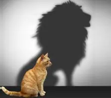 Affirming the Self – Part 2 – Trinity Center for Spiritual Living