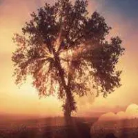 Maintaining Your Vibration in Daily Life – Trinity Center for Spiritual Living