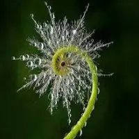 The Way It Works! Creative Consciousness Evolving as Form! – Trinity Center for Spiritual Living